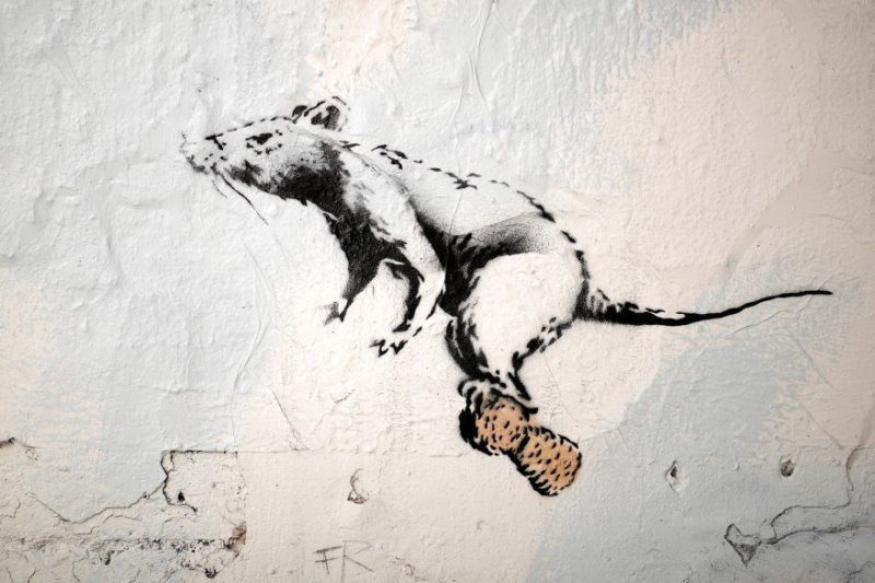 Бэнкси работы крысы