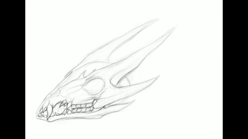 Зарисовка череп дракона