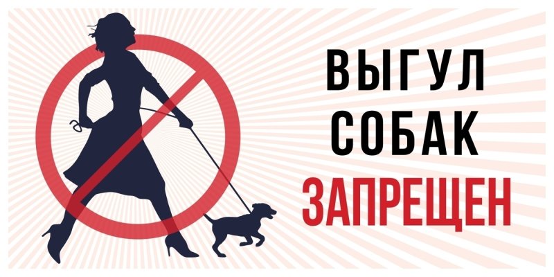 Табличка выгул собак