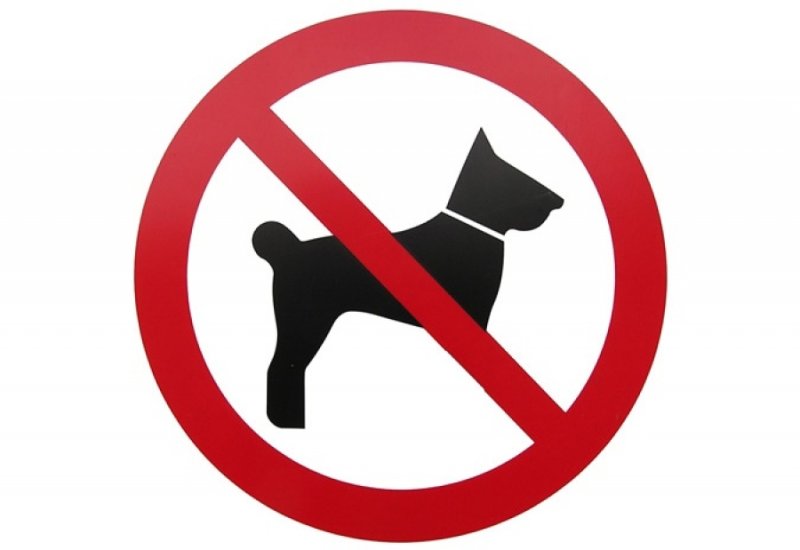 Знак выгуливать собак запрещено