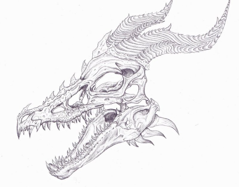 Эскиз тату череп дракона