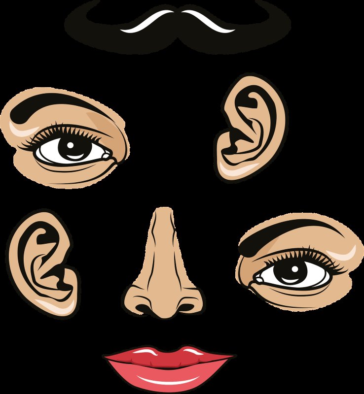 Части лица для распечатывания