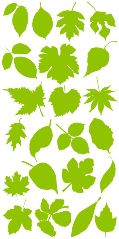 Маленькие листики