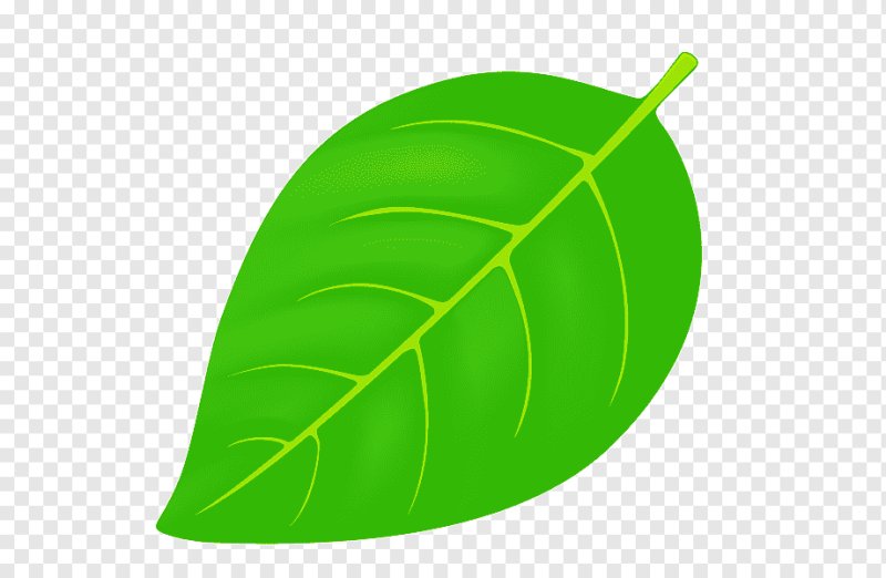Зеленый лист