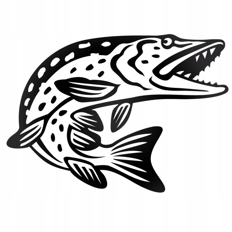 Щука рисунок