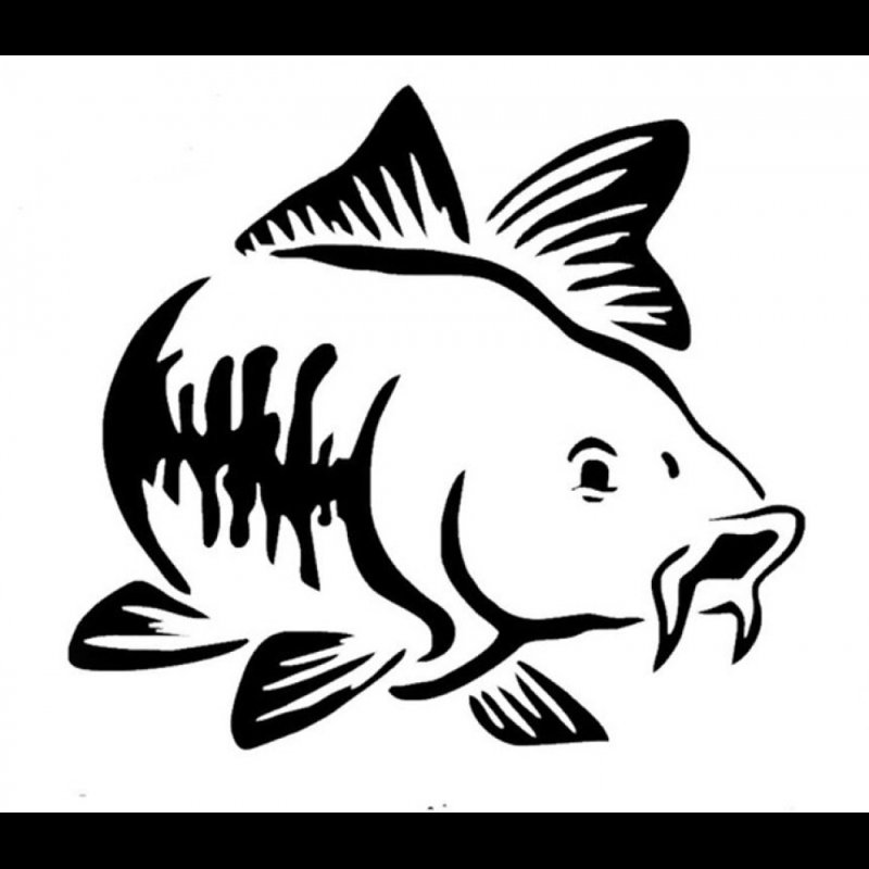 Наклейка Карп