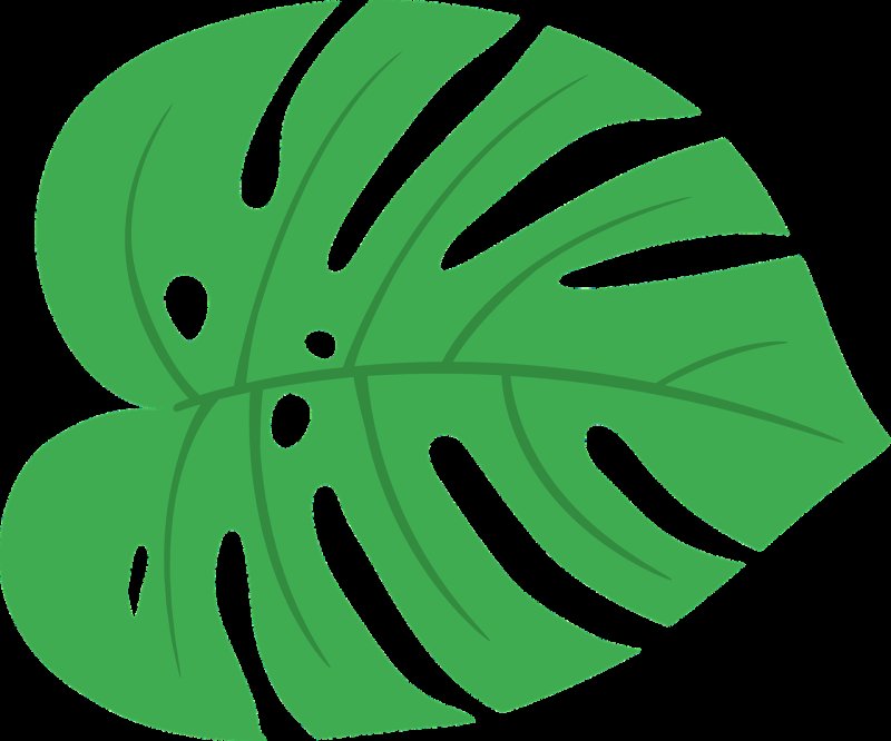 Monstera Leaf контур