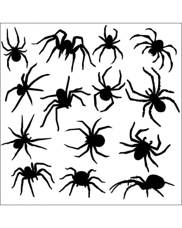 Трафареты пауков