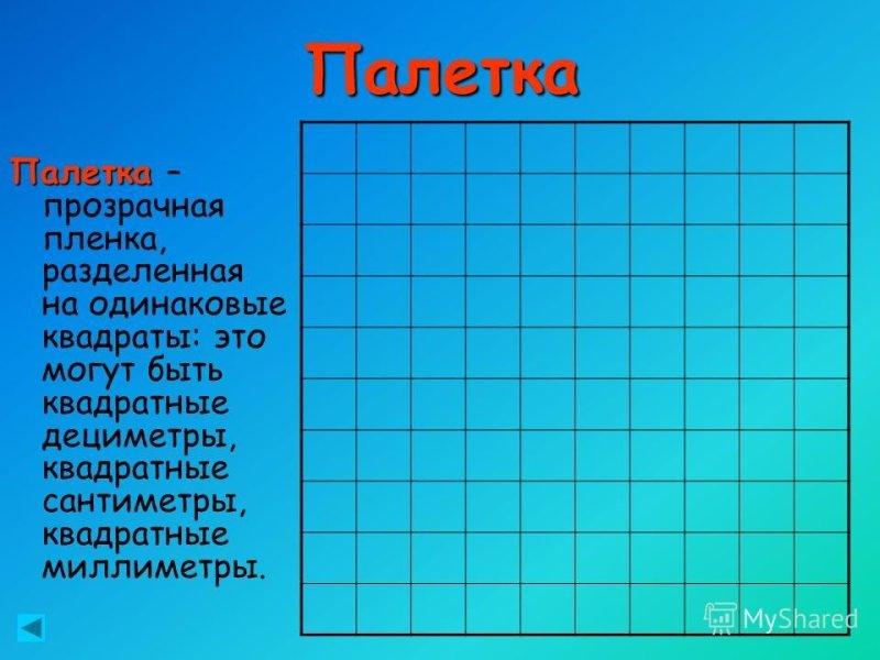 Палетка прозрачная