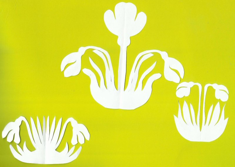 Цветы для вырезания вытынанки