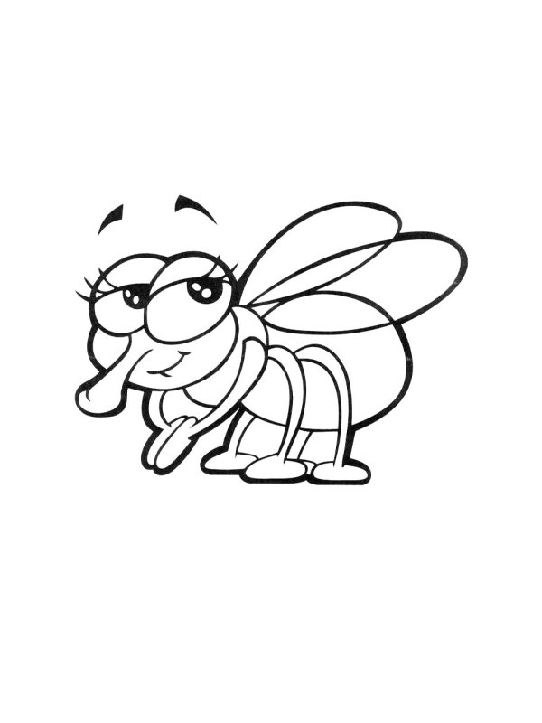 Муха раскраска
