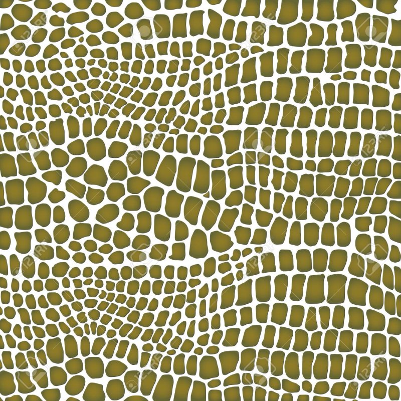 Кожа рептилий