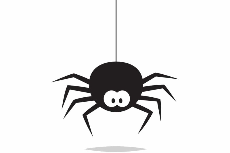 Пауки на Хэллоуин