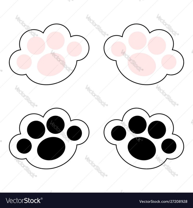 Лапа кота трафарет