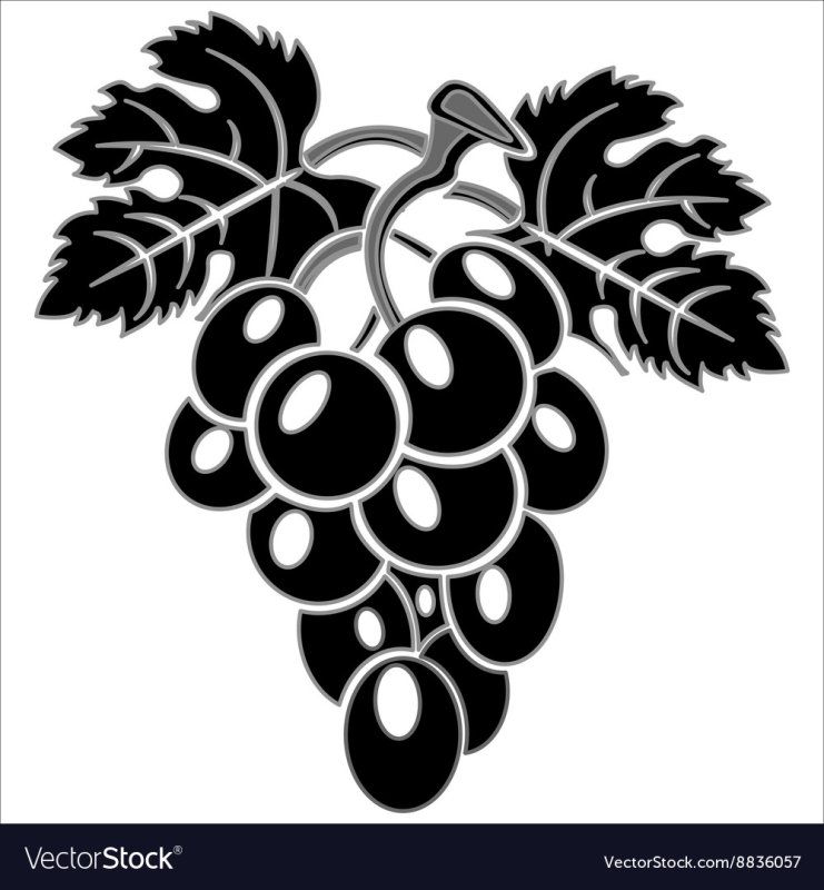 Трафарет виноград