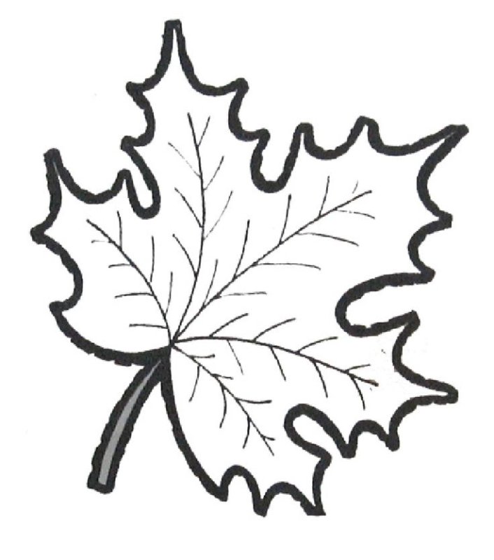 Листья раскраска
