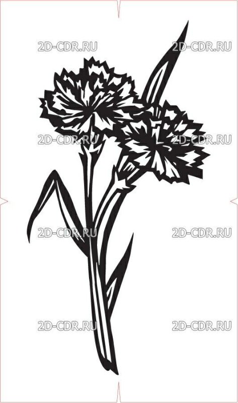 Силуэт гвоздики