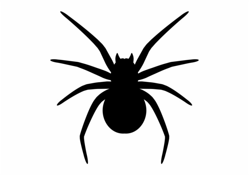 Паук силуэт