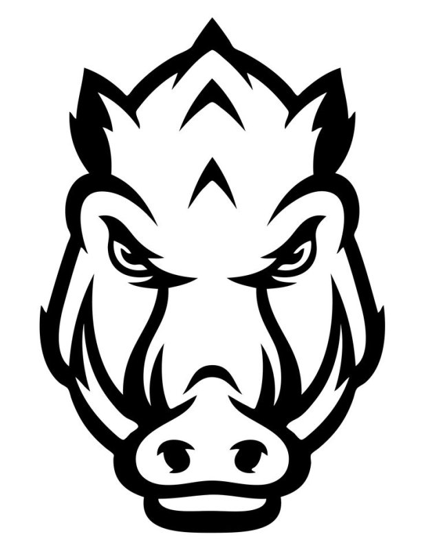 Векторное изображение кабана