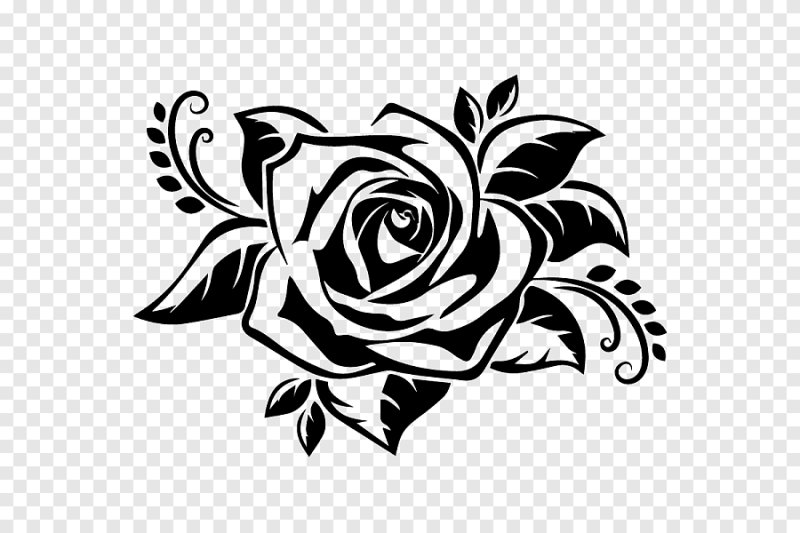 Черно-белый цветок