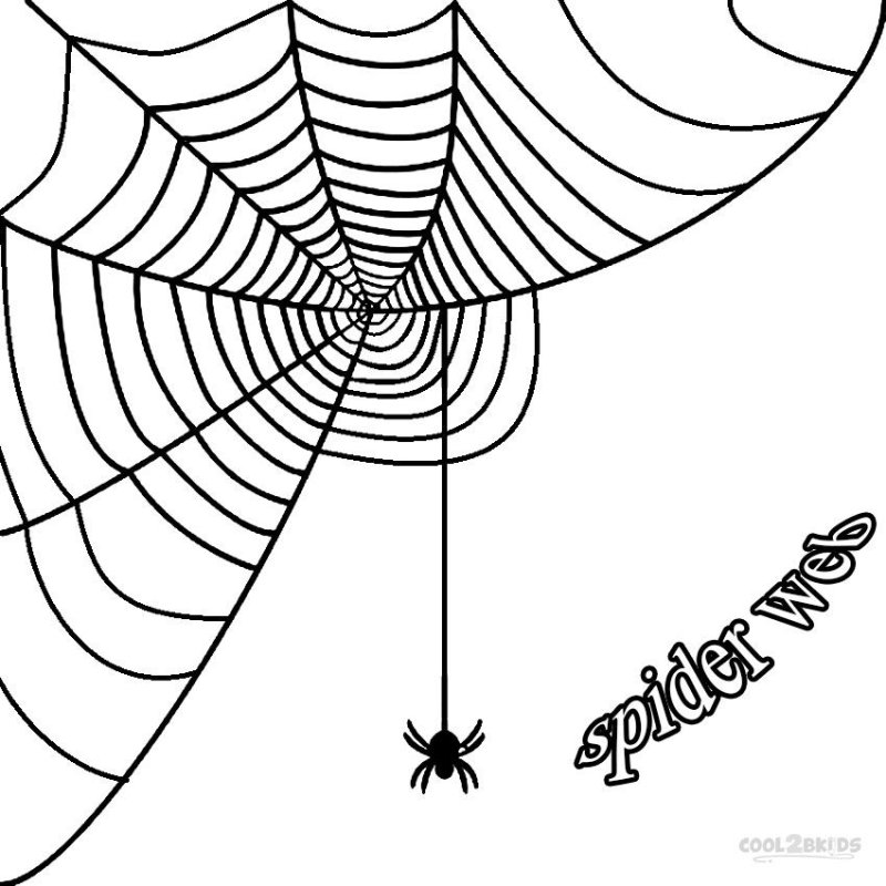 Паутина раскраска