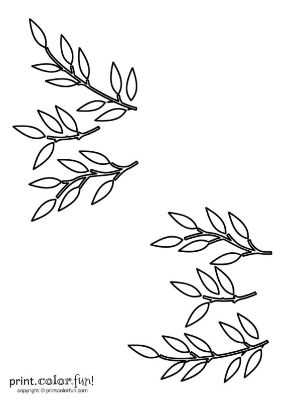 Веточка силуэт