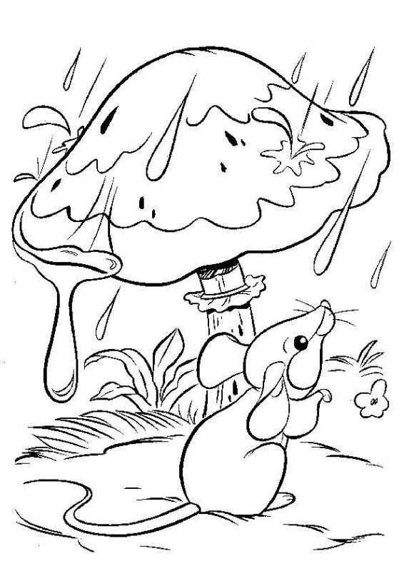 Сутеев по грибом