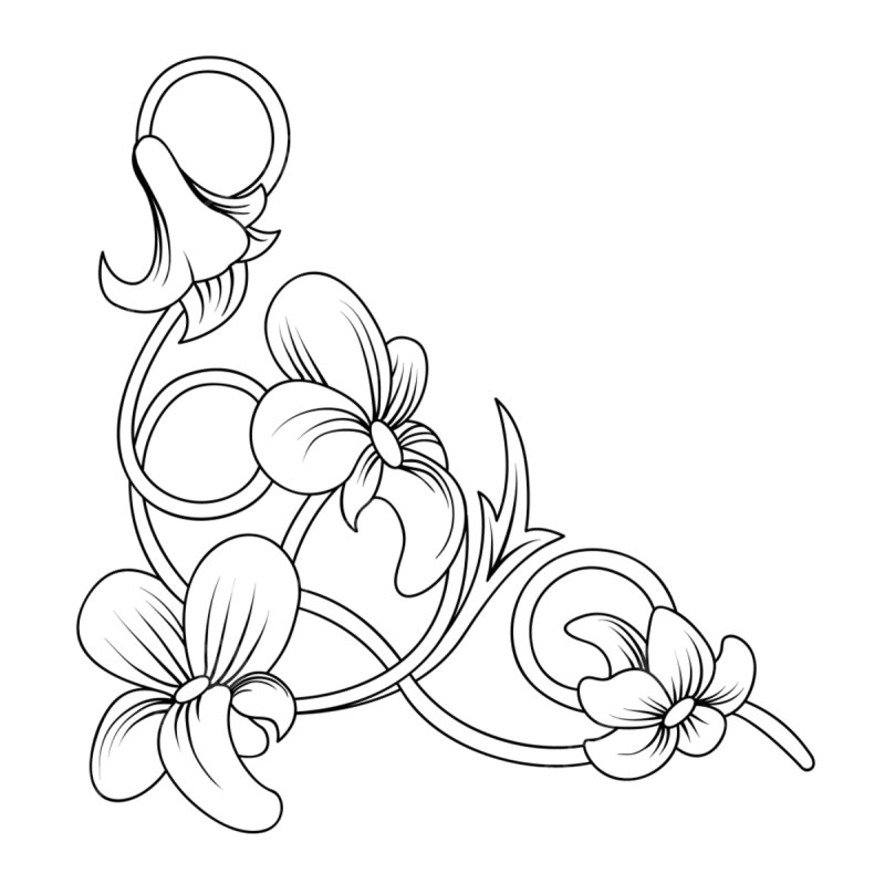 Раскраски цветы красивые