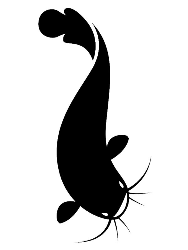 Сом рисунок