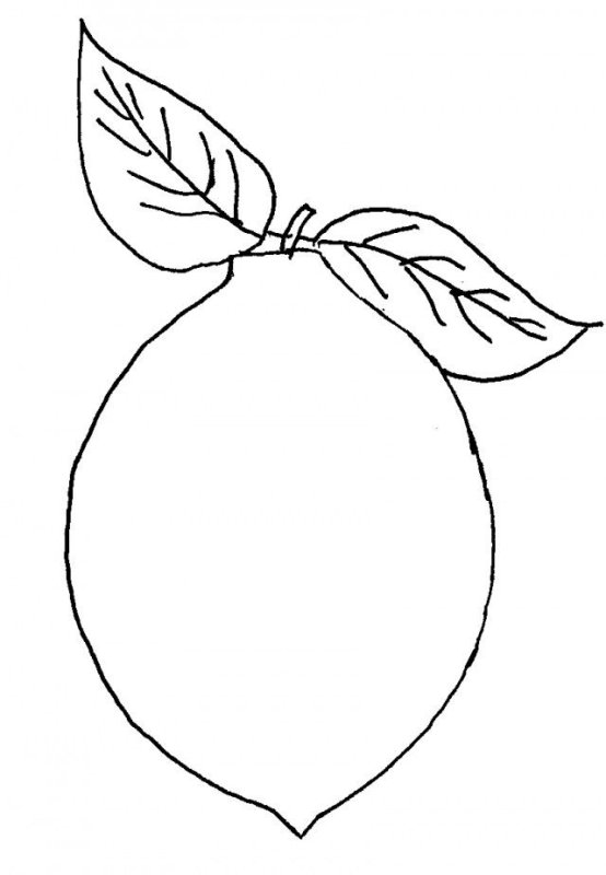Лимон раскраска