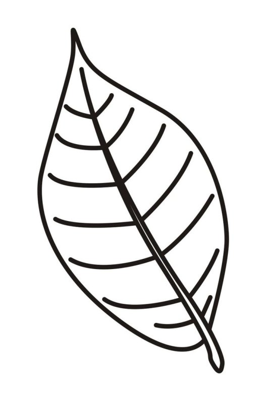 Листики раскраска для детей