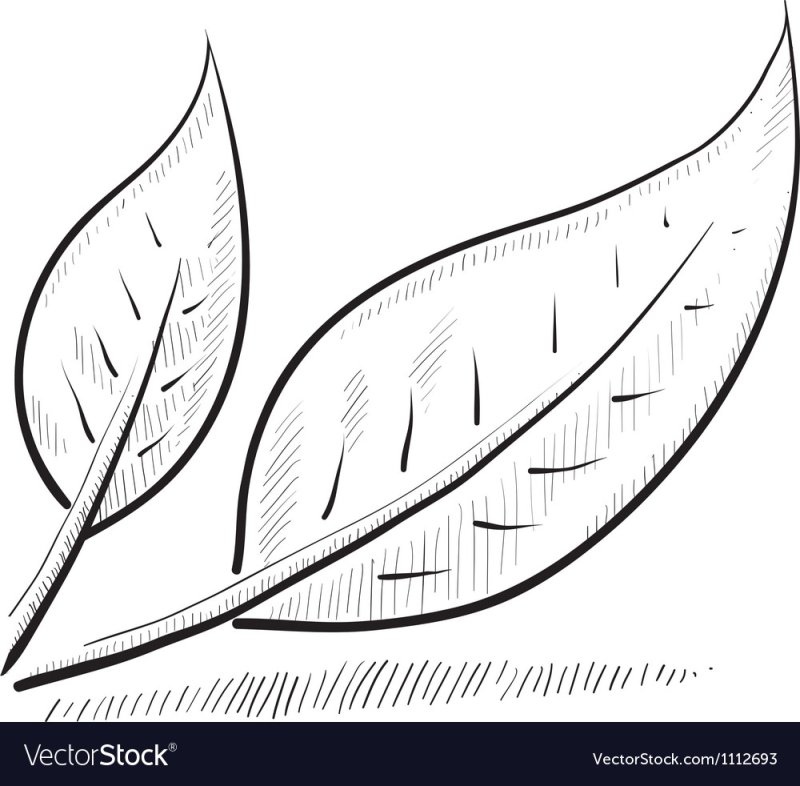 Трафарет лист удлиненный