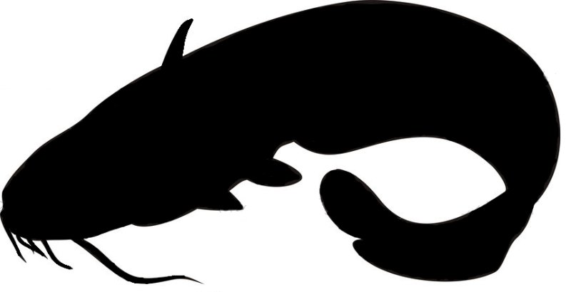 Силуэт сома