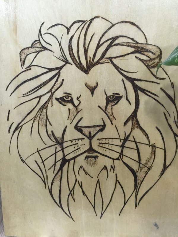 Тату голова Льва