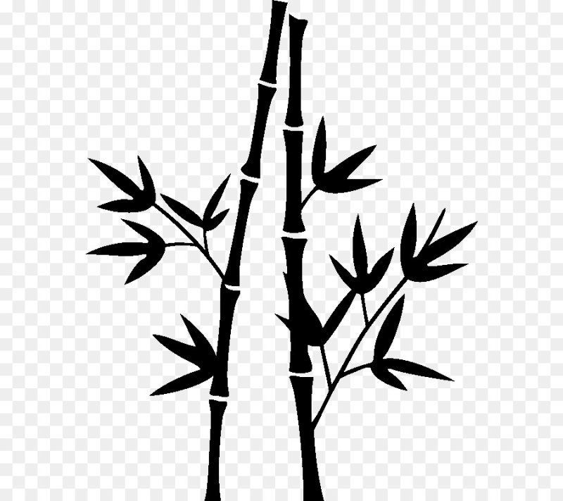 Листья бамбука