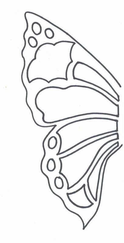 Бабочка шаблон для вырезания