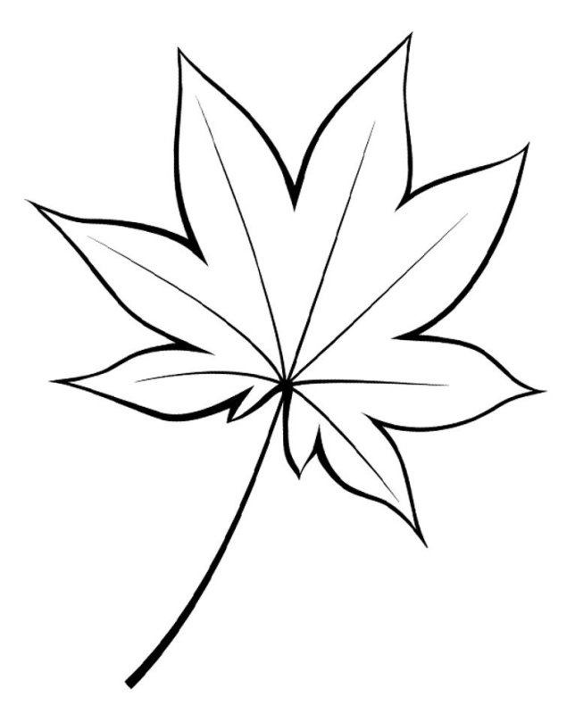Листья трафарет для вырезания