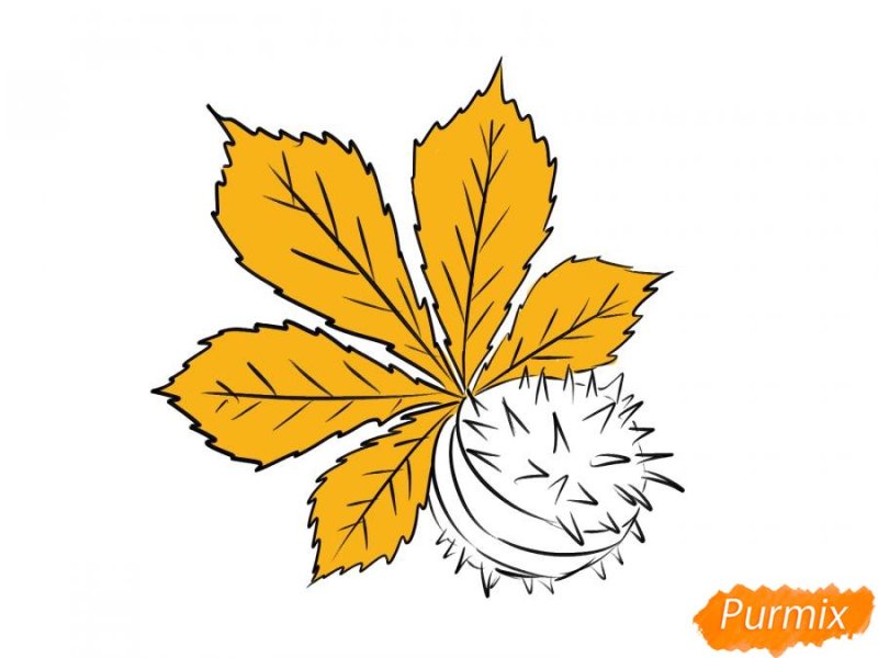 Лист каштана трафарет