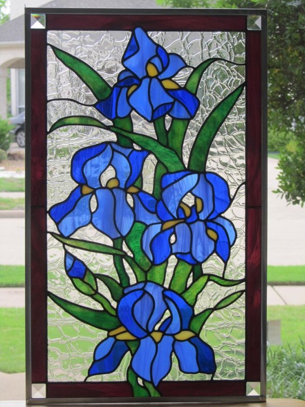 Кинусайга ирисы