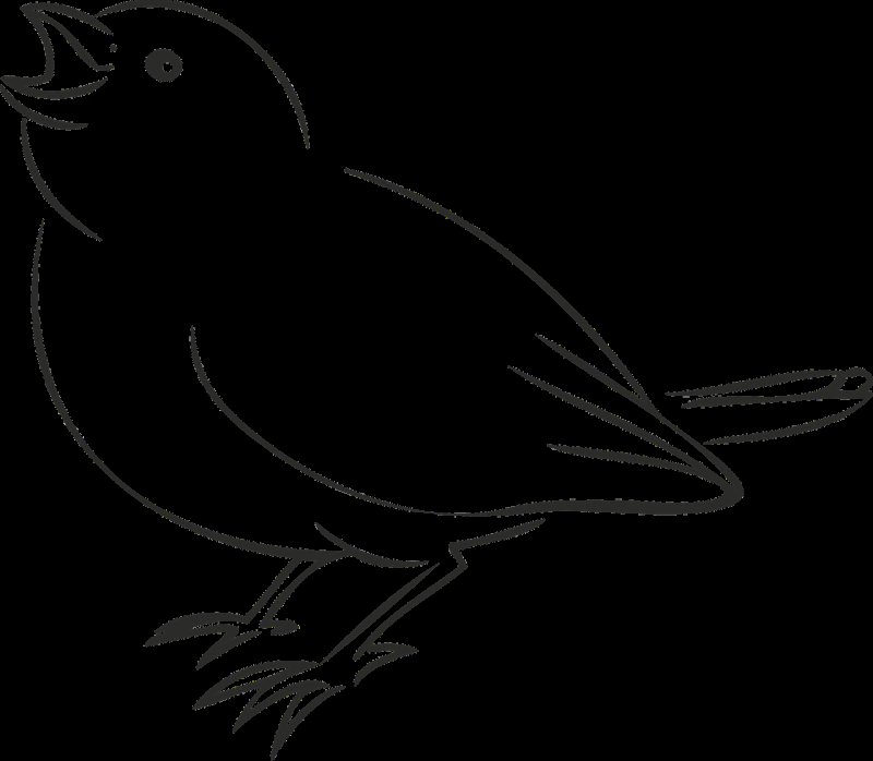 Контур птицы для детей