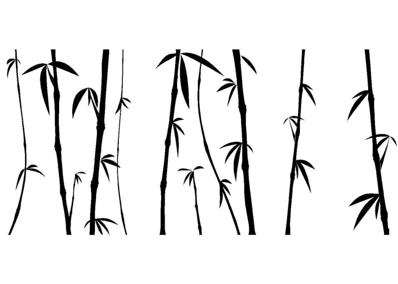 Бамбук силуэт