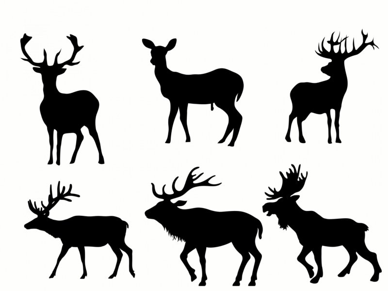 Силуэт оленя