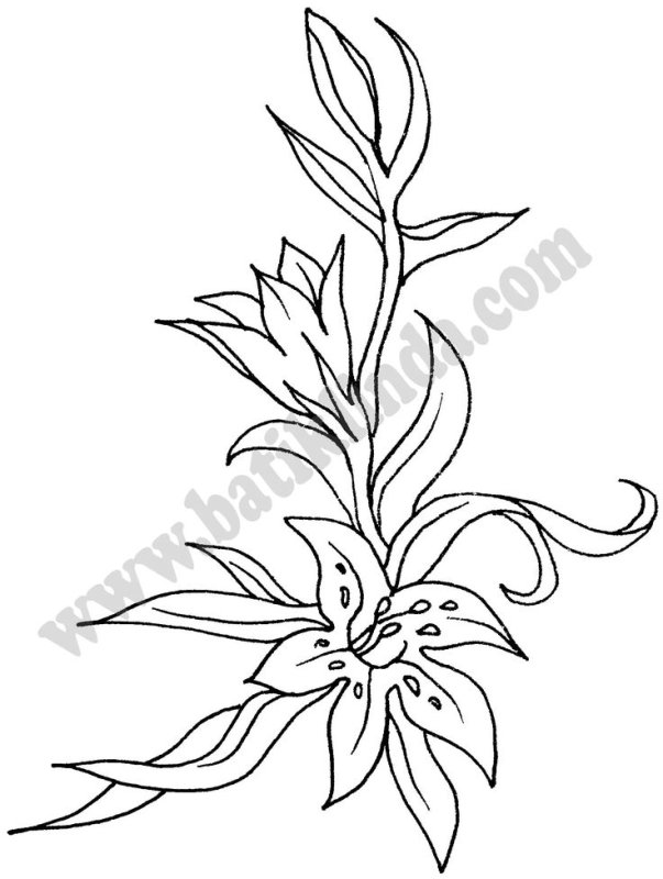 Лилии для выжигания