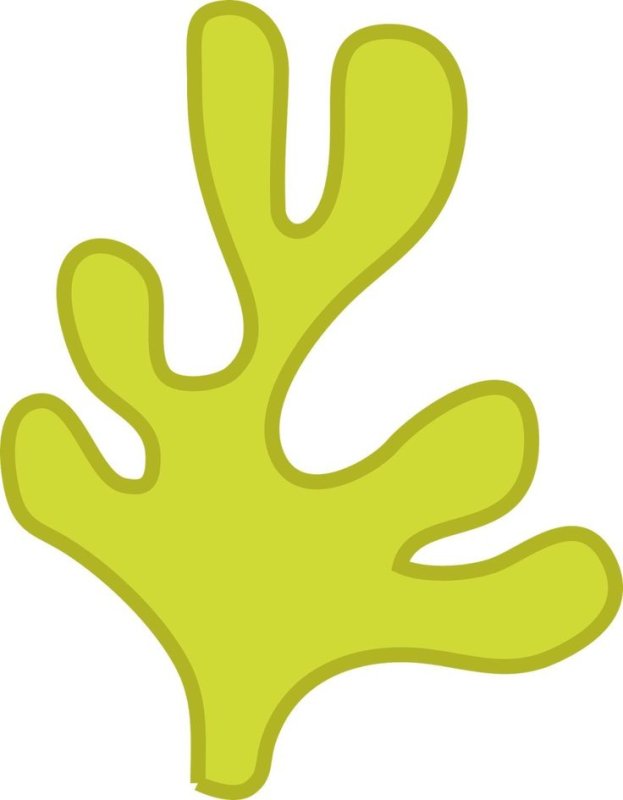 Водоросли трафарет