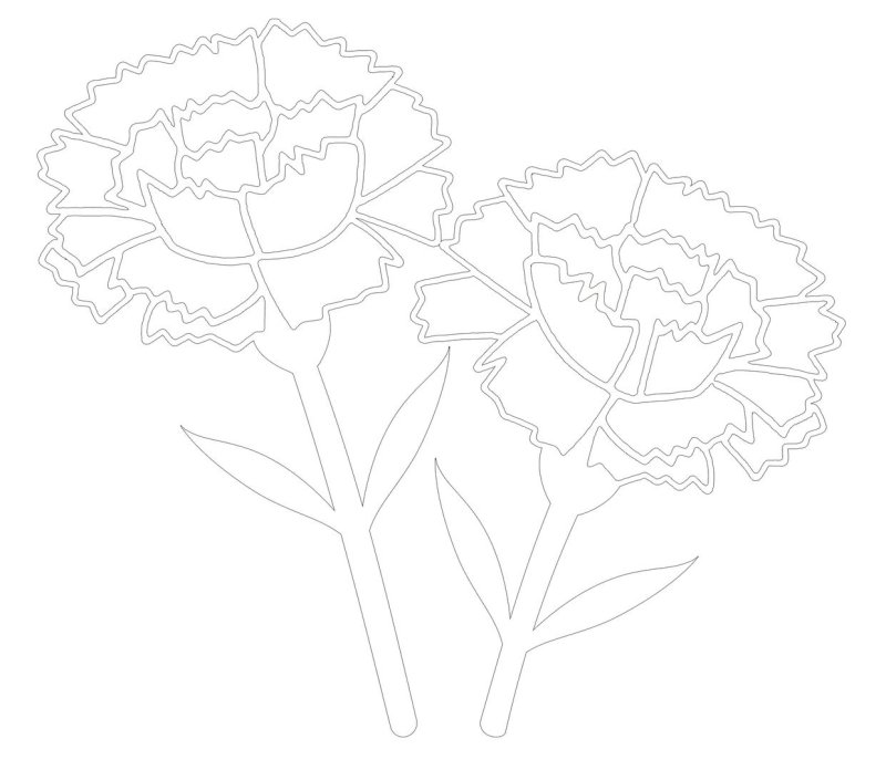 Вытынка гвоздики