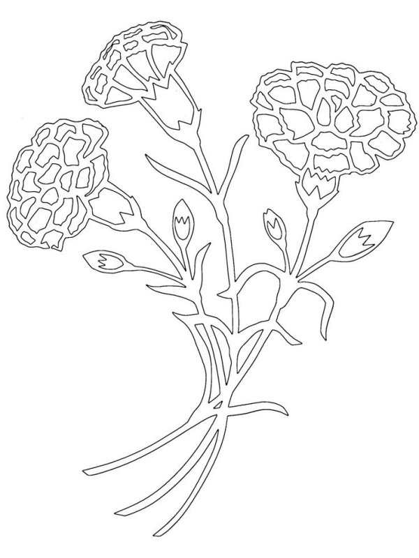 Трафарет гвоздики