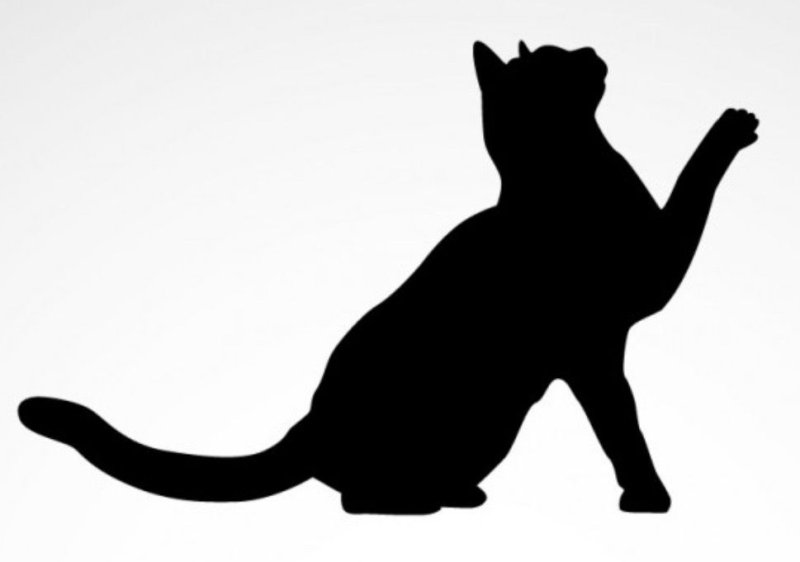 Силуэт котенка