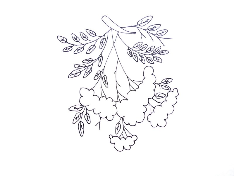 Рябина раскраска