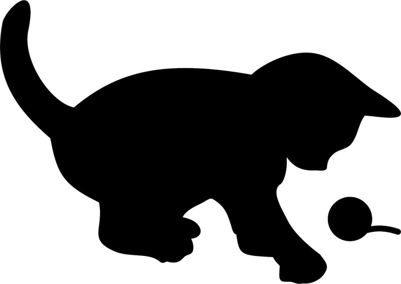 Силуэт кошки