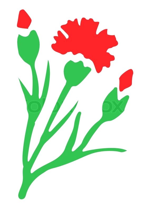 Гвоздика вытынанка к 9 мая